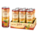 6-Can Case — Single Mood: Focus (Mango–Chili)